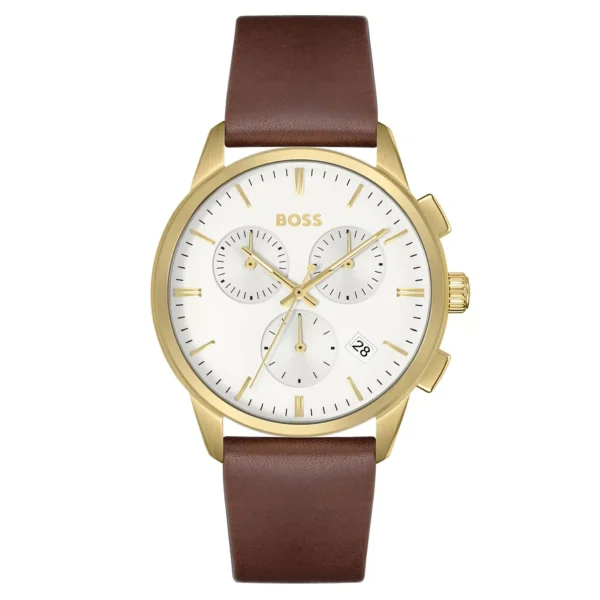 Hugo Boss Watch 1513926