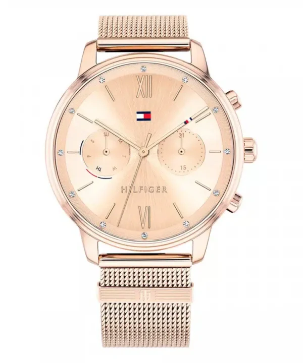 Tommy Hilfiger Watch 1782303