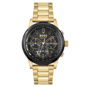 Hugo Boss Watch 1514033